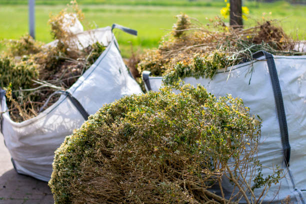 Best Garage Cleanout Services  in San Fernando, CA